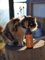 Mistik Terapi No:2 Hair Repair Shampoo