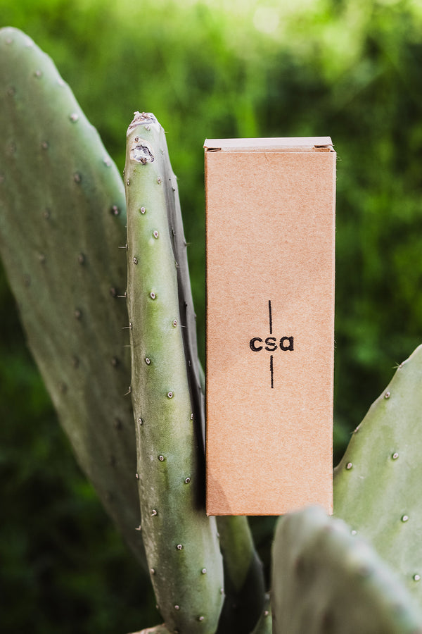 CSA %100 Doğal Keçi Kılı Yumuş Yüz/Saç Bakım Fırçası